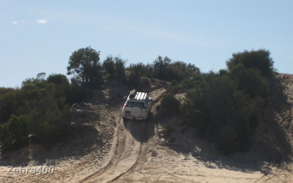 21-Dulcie enjoys the climb up Ross Springs dune.JPG